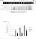 Fig. 08 - Activity-based probe compounds, compositions, and methods of use