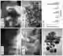 Fig. 09 - Curcumin-based magnetic nanostructured system for dual response of imaging and therapeutics