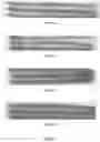 Fig. 02 - Method for sterilizing a substrate having a hydrophilic coating and sterilized substrates