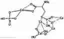 Fig. 01 - Composition of alpha-TCP, silicate and phosphorylated amino acid
