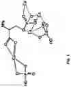 Fig. 02 - Composition of alpha-TCP, silicate and phosphorylated amino acid