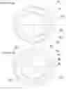 Fig. 08 - Light-adjustable hydrogel and bioanalogic intraocular lens