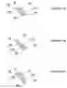 Fig. 12 - Light-adjustable hydrogel and bioanalogic intraocular lens