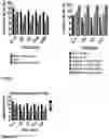 Fig. 06 - REGENERATION OF DISEASES INTERVERTEBRAL DISCS