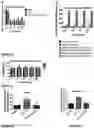 Fig. 07 - REGENERATION OF DISEASES INTERVERTEBRAL DISCS