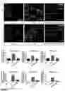 Fig. 08 - REGENERATION OF DISEASES INTERVERTEBRAL DISCS