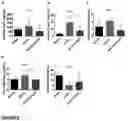 Fig. 09 - REGENERATION OF DISEASES INTERVERTEBRAL DISCS
