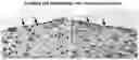 Fig. 01 - Methods of preparing personalized blood vessels