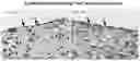 Fig. 06 - Methods of preparing personalized blood vessels
