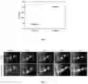 Fig. 13 - Zwitterionic hydrogels for delivery of biomolecules