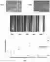 Fig. 08 - LIMUS COATINGS AND METHODS OF USE THEREOF