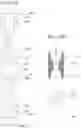 Fig. 12 - Cap for syringe needle and device for dialysis circuit priming