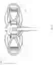 Fig. 12 - Huber safety needle