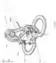Fig. 46 - Huber safety needle
