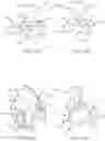 Fig. 08 - ORALLY-PLACED LINE SECUREMENT CLIP