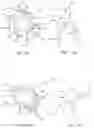 Fig. 10 - ORALLY-PLACED LINE SECUREMENT CLIP