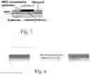 Fig. 05 - Mixed ionic electronic conductors: devices, systems and methods of use
