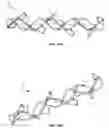 Fig. 14 - Implantable lead affixation structure for nerve stimulation to alleviate bladder dysfunction and other indication