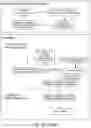 Fig. 24 - Method of neural intervention for the treatment of affective neuropsychiatric disorders