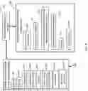 Fig. 04 - Methods and apparatuses for transdermal stimulation of the outer ear