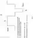 Fig. 06 - Methods and apparatuses for transdermal stimulation of the outer ear