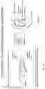 Fig. 09 - Methods and apparatuses for transdermal stimulation of the outer ear