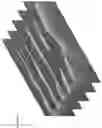 Fig. 02 - Processing optical coherence tomography (OCT) scans