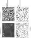 Fig. 07 - Processing optical coherence tomography (OCT) scans