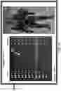Fig. 12 - Player induced counter-balancing of loads on a character in a virtual environment