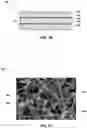 Fig. 05 - HYDROGEN SULFIDE FILTERS, METHODS OF FORMING THE HYDROGEN SULFIDE FILTERS, AND SYSTEMS INCLUDING SUCH FILTERS
