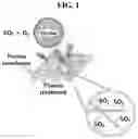 Fig. 02 - Method for hydrophilizing porous membrane and method for manufacturing ion-exchange membrane using same