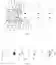 Fig. 02 - Micro-bubble generator