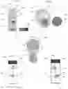 Fig. 02 - Bladed liquid agitator