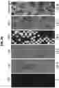 Fig. 32 - FABRICATION OF PATTERNED ARRAYS