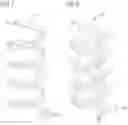 Fig. 07 - Reactor for conducting at least two reactants