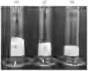 Fig. 01 - Water-absorbent resin particle
