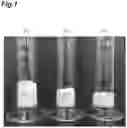 Fig. 02 - Water-absorbent resin particle