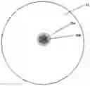 Fig. 01 - Method for preparing highly porous polymer particles for diagnostic applications