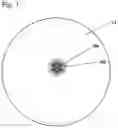 Fig. 02 - Method for preparing highly porous polymer particles for diagnostic applications