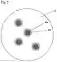 Fig. 03 - Method for preparing highly porous polymer particles for diagnostic applications