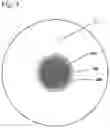 Fig. 04 - Method for preparing highly porous polymer particles for diagnostic applications