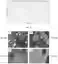 Fig. 03 - Methods for preparation and use of liquid synthesis catalysts