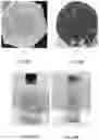 Fig. 07 - Methods for preparation and use of liquid synthesis catalysts
