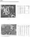 Fig. 06 - Composite material