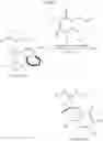 Fig. 643 - Synthesis and characterization of Ru alkylidene complexes