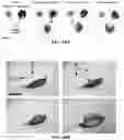 Fig. 16 - Check valves for microfluidic systems and methods thereof