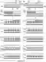 Fig. 10 - Devices, processes, and systems for determination of nucleic acid sequence, expression, copy number, or methylation changes using combined nuclease, ligase, polymerase, and sequencing reactions