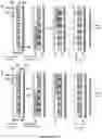 Fig. 12 - Devices, processes, and systems for determination of nucleic acid sequence, expression, copy number, or methylation changes using combined nuclease, ligase, polymerase, and sequencing reactions