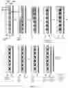 Fig. 13 - Devices, processes, and systems for determination of nucleic acid sequence, expression, copy number, or methylation changes using combined nuclease, ligase, polymerase, and sequencing reactions