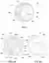 Fig. 08 - Handheld showerhead with linear nozzle arrays